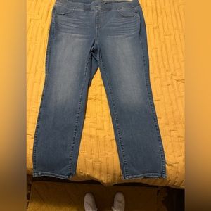 Torrid Size 3 (22/24) Jeans